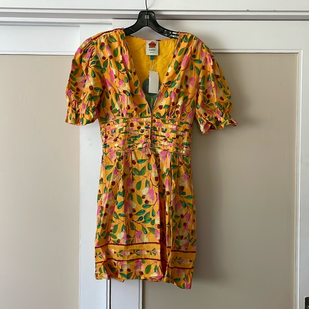 Festive Farmrio dress